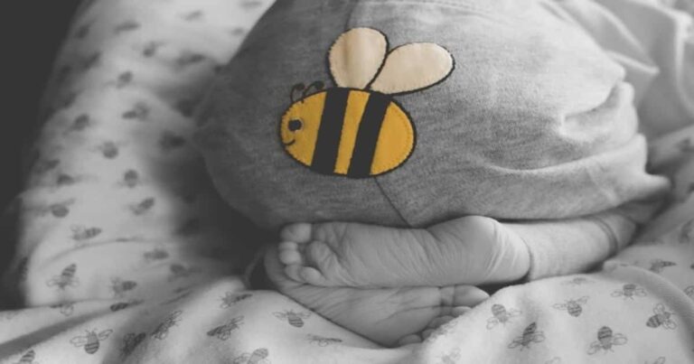‘Bee Maternity Photoshoot’ Mom Suffers Devastating Stillbirth