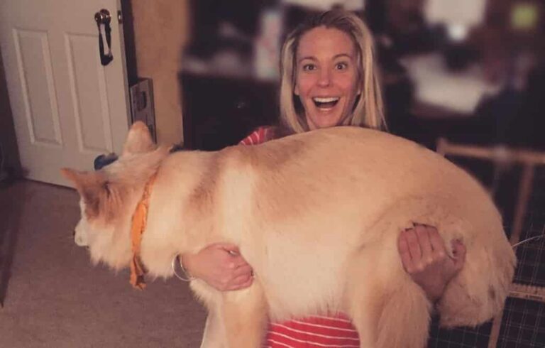 Kate Gosselin Accused of Treating Her Dog Better Than Her Son With Special Needs