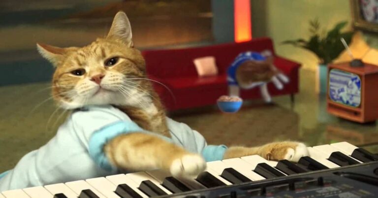 Bento the Keyboard Cat Has Gone to the Big Kitty Box in the Sky