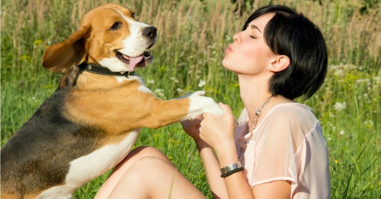 Talking to Your Dog in a Baby Voice Actually Works, Says Science