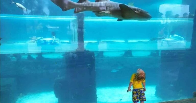 Atlantis Paradise Island Is Taking the Family Vacation to a Whole New Level