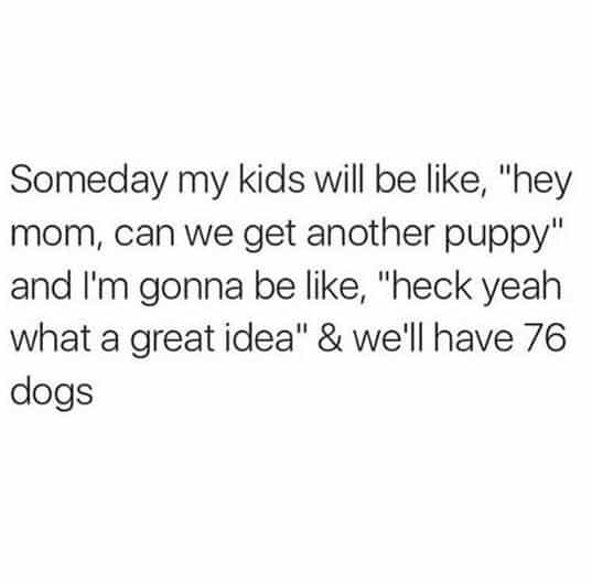 Dogs, Kids, Puppy