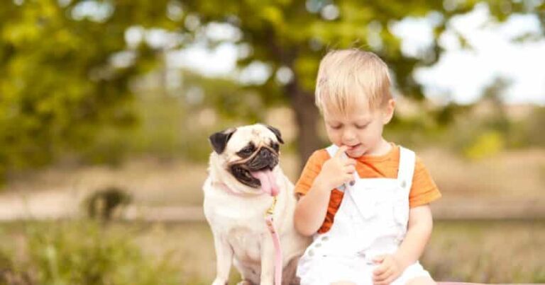 Low-Energy Dogs That Are Perfect For Families With Kids