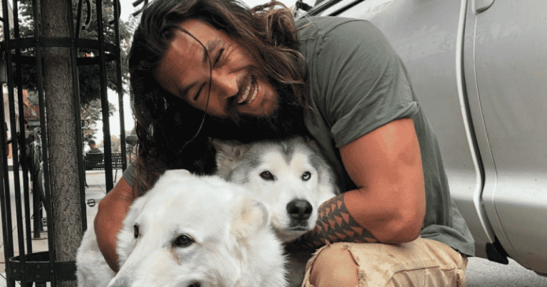 Some Trolls Thought Jason Momoa Had Dad Bod And We’re Saying Come To Mama